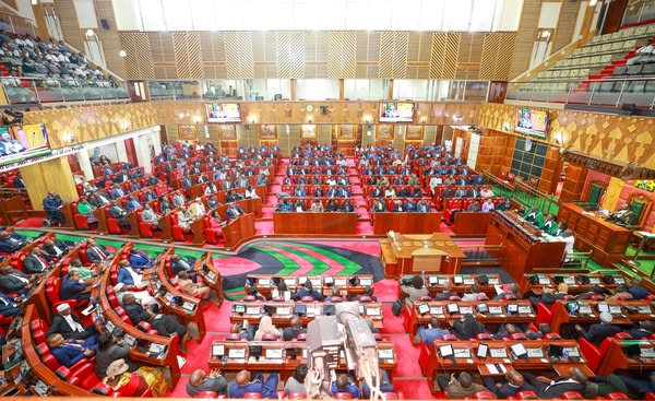 National Assembly passes bill to entrench NG-CF, NGAAF and Senate oversight fund in the constitution 