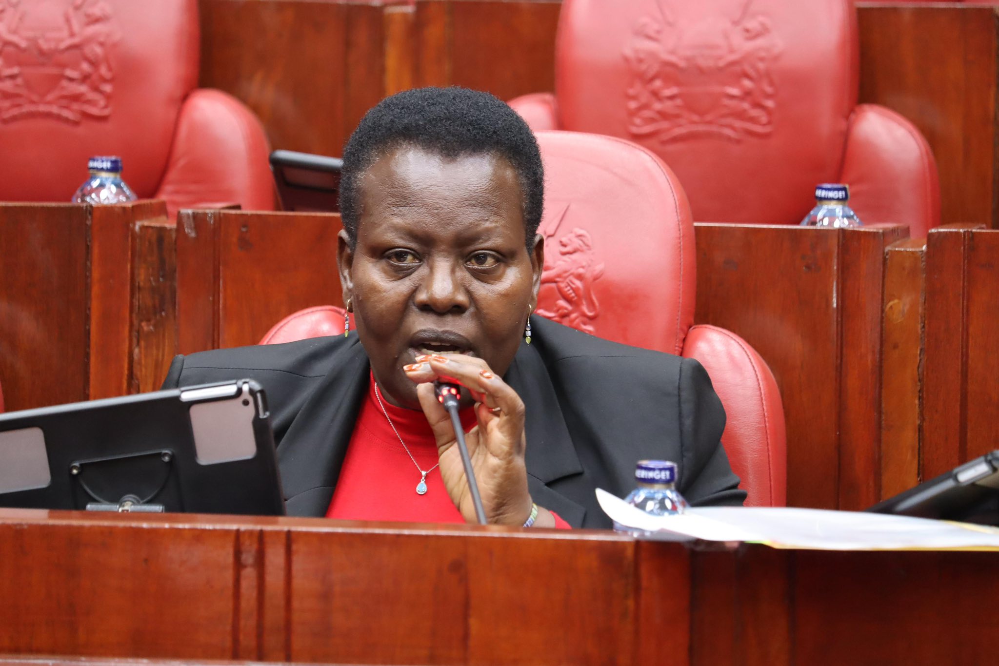 Security committee members raise alarm over renovation funding