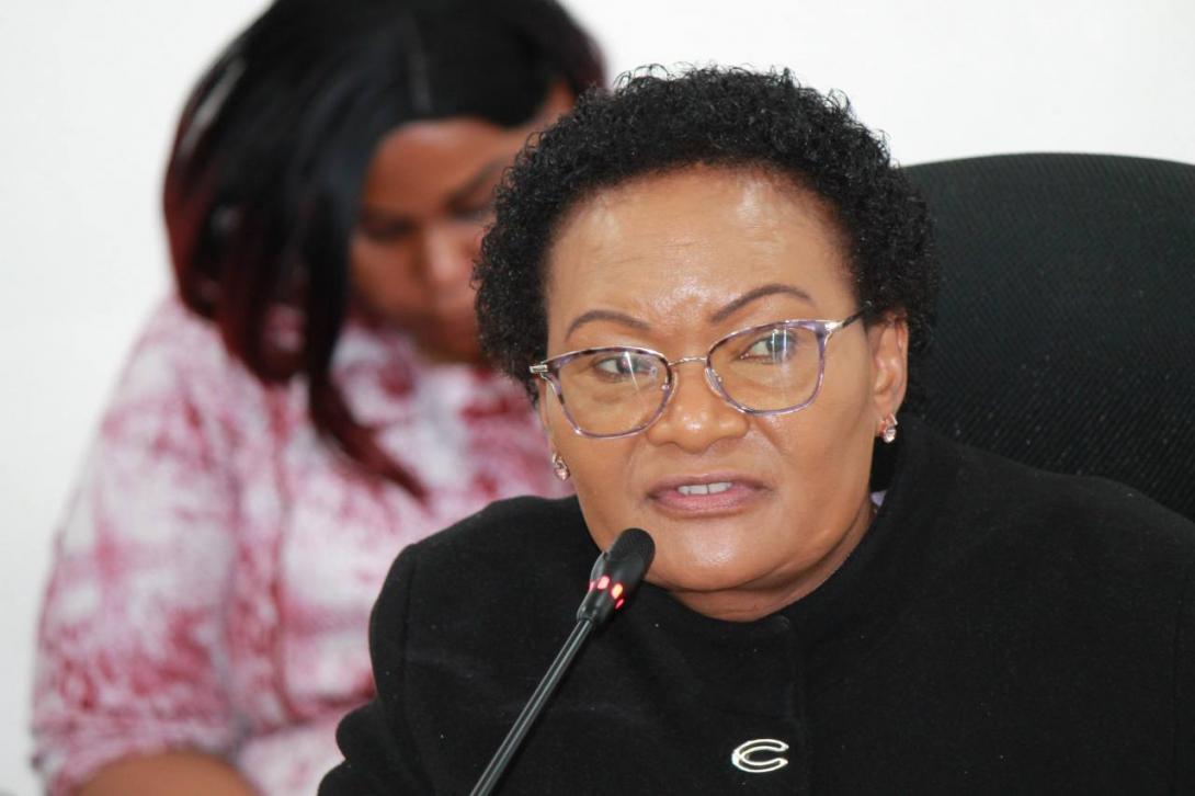 Committee demands capitation overhaul to rescue struggling schools