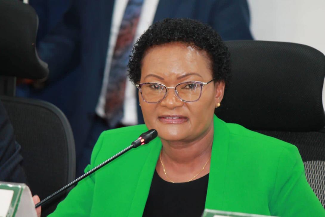 Committee probes use of public funds in student placement, curriculum development 