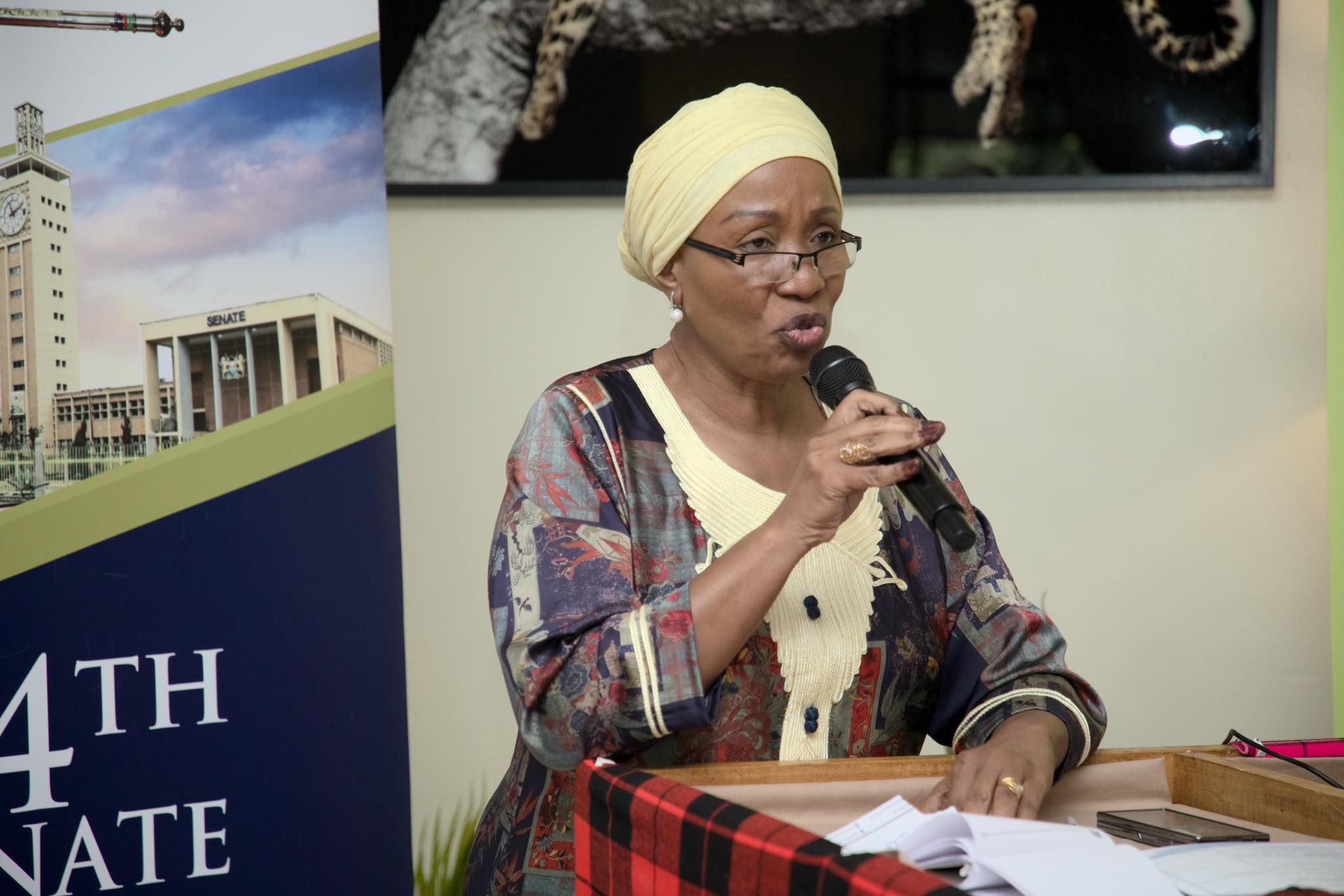 Senator Kibwana raises alarm over child deaths linked to antibiotic resistance